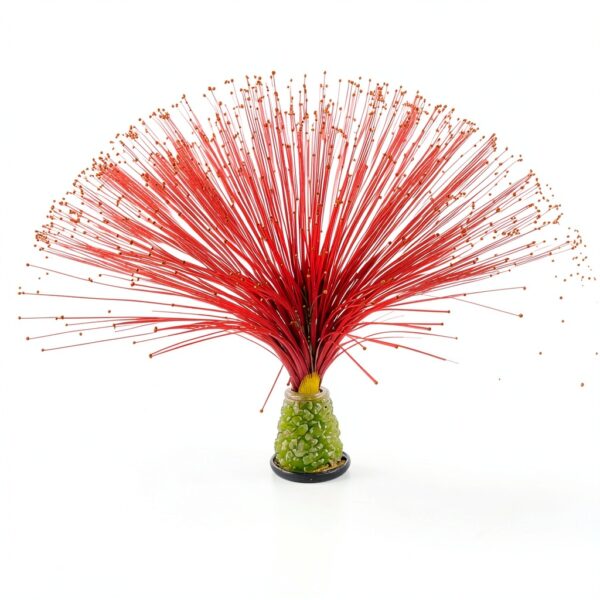 13 inch USB Corded Lamp JALORDE Color Crystals-2